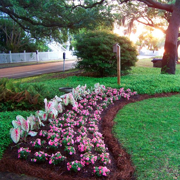 Beaufort Landscaping