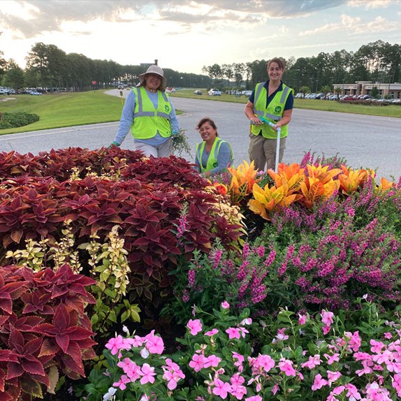 Commercial Maintenance