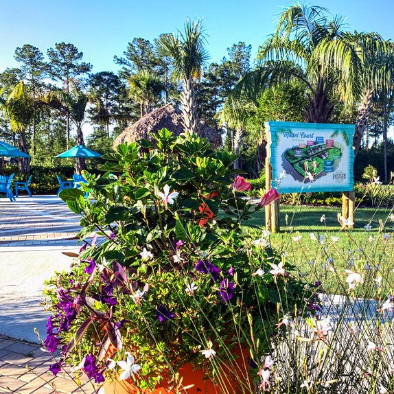 Daytona Landscaping Services