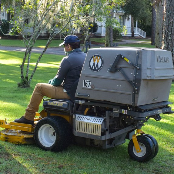 Mount Pleasant Landscaper