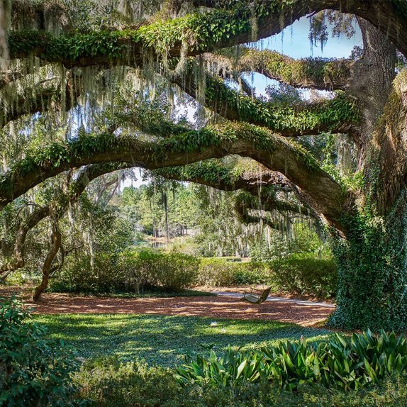 Mount Pleasant Commercial Landscapers