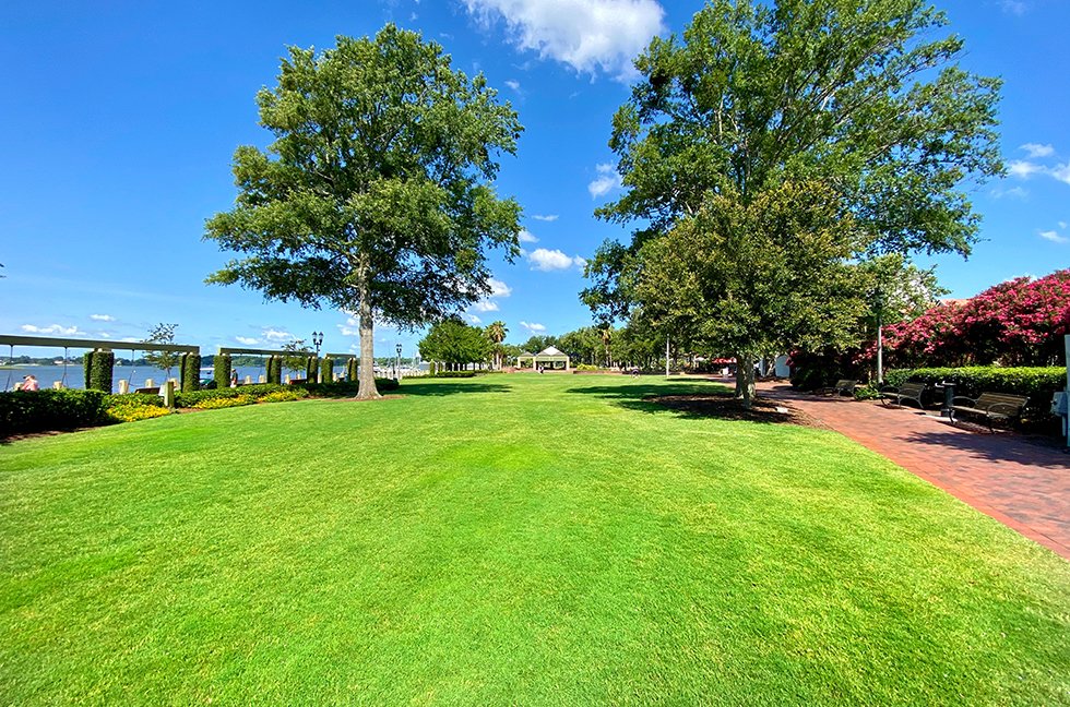 Municipalities, Education, Healthcare