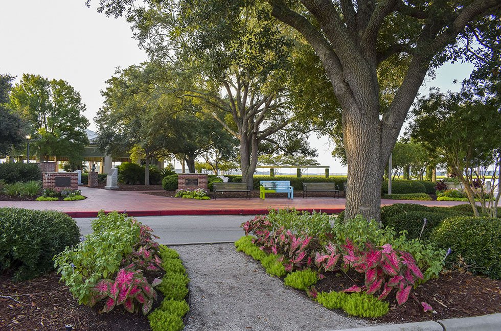 Municipalities, Education, Healthcare