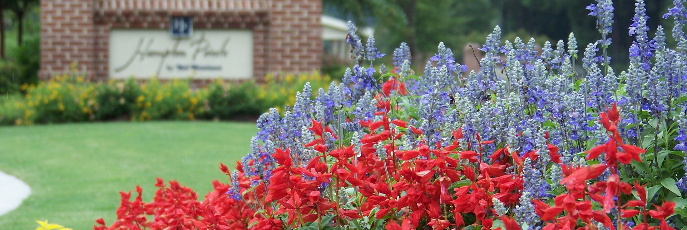 POAS, HOAS, MANAGED COMMUNITIES