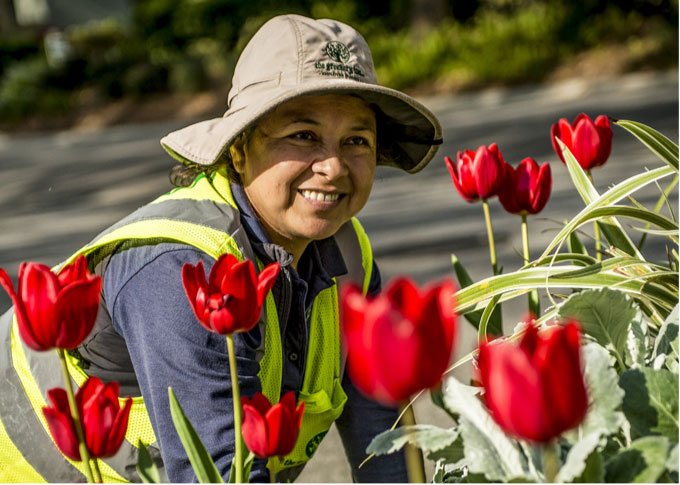 The Greenery Savannah