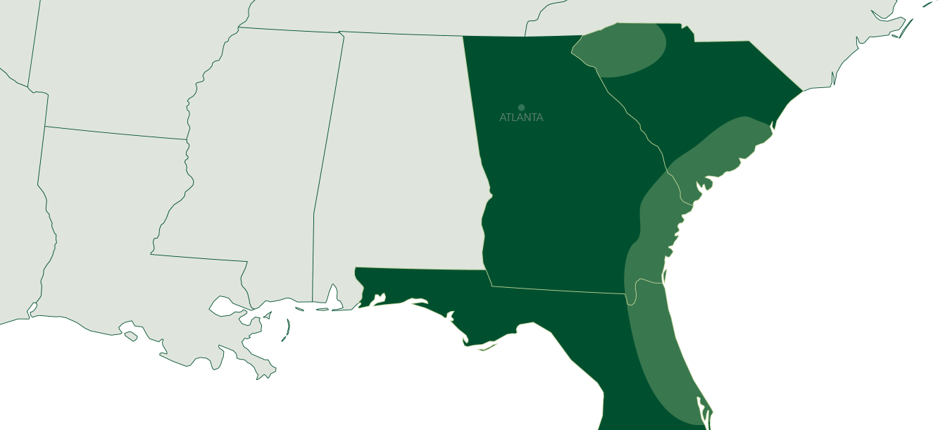 South Carolina Map
