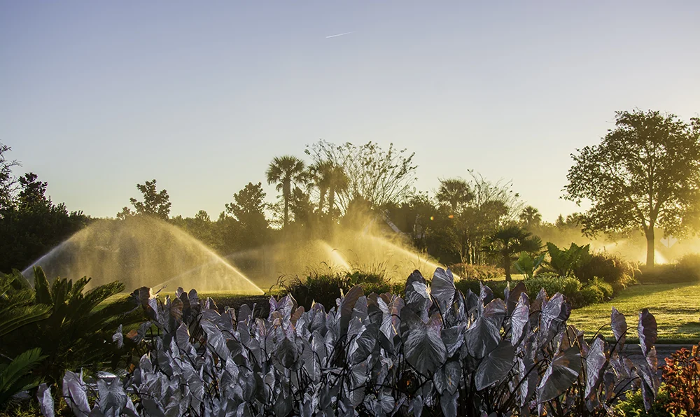 Smart Irrigation July